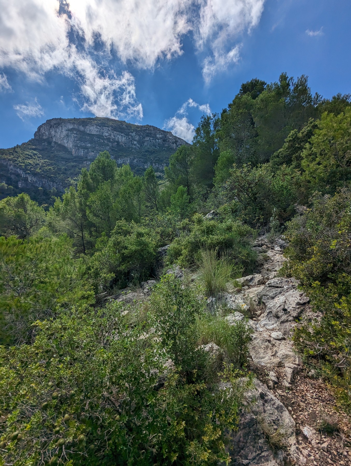 Local hiking Marxuquera